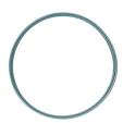 Image path: /cw2/Assets/product_full//kuhn gasket sm.JPG